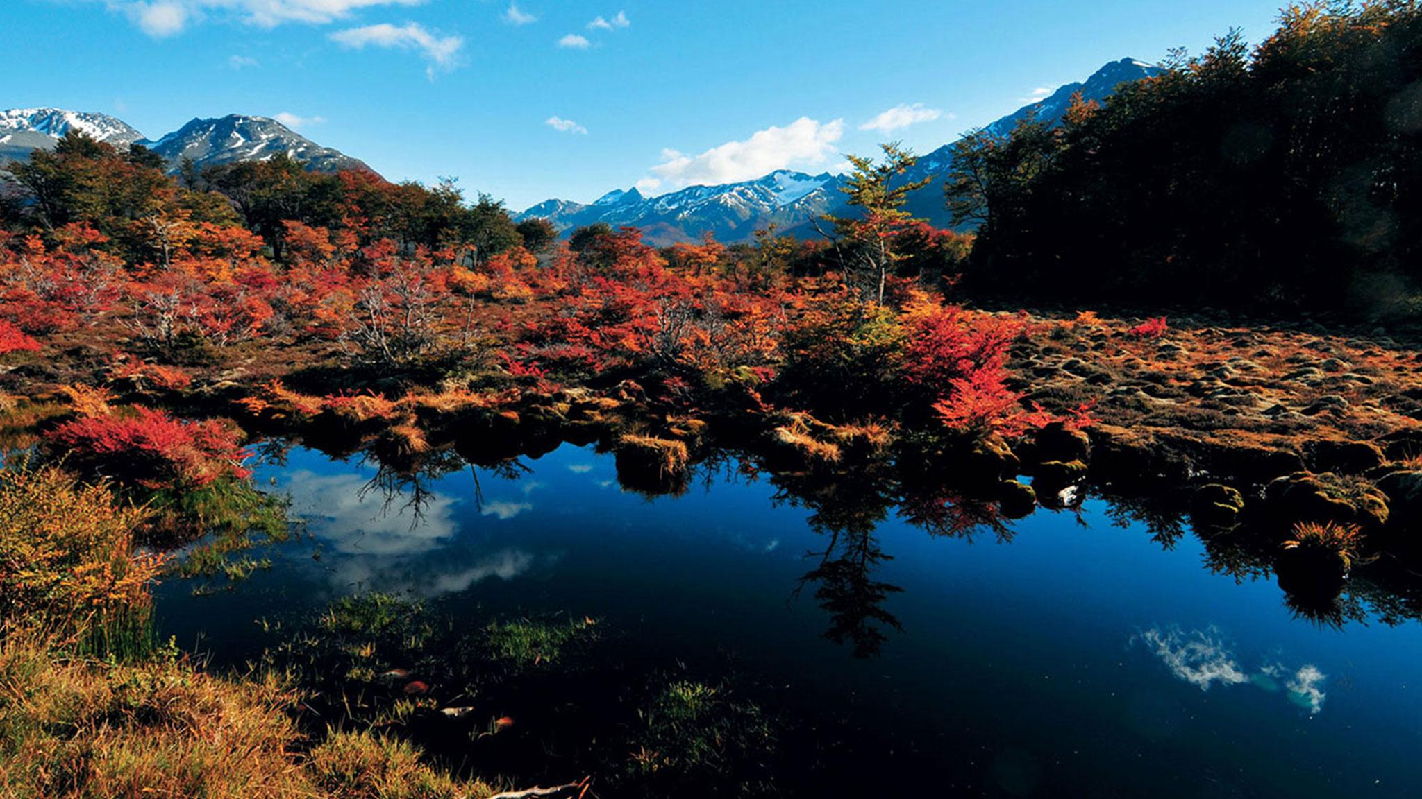 Arakur Ushuaia Resort & Spa Exterior foto Autumn colours at the Ozegahara